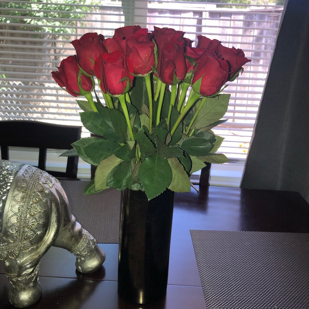 Meet your Posher, Gloria